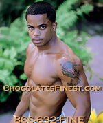 Michael Silk